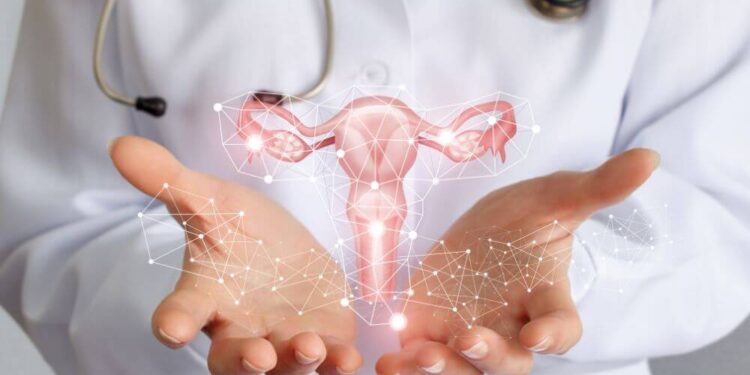 Cardiologista explica como a reposição hormonal pode causar danos para saúde feminina