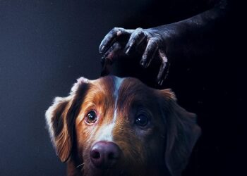 Estreias e Reexibições Imperdíveis na Rede Cine Show: Confira as Novidades da Semana