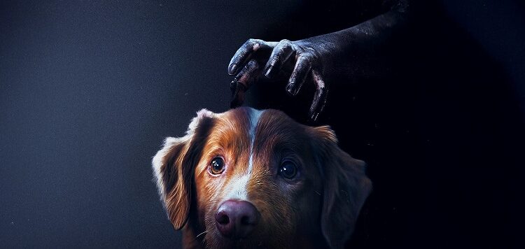 Estreias e Reexibições Imperdíveis na Rede Cine Show: Confira as Novidades da Semana