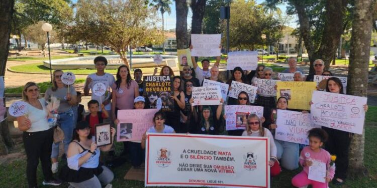 Movimento nacional por direitos dos animais ganha força em Garça