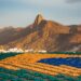 Agência Mango se une a Havaianas para ativações no Mundial de Futebol